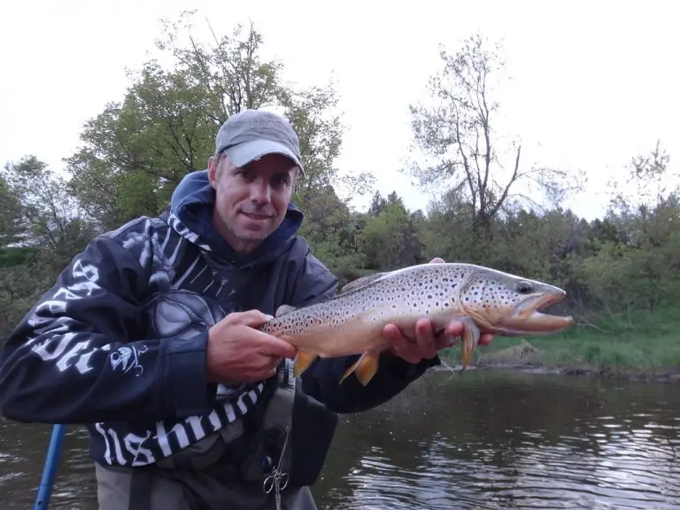 Trout Fishing Near Toronto: Tips From A Top River Guide