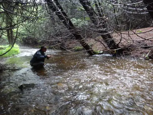 An angler fishing brook trout in Ontario