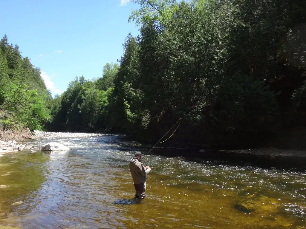 Best Time To Fish Ontario Rivers