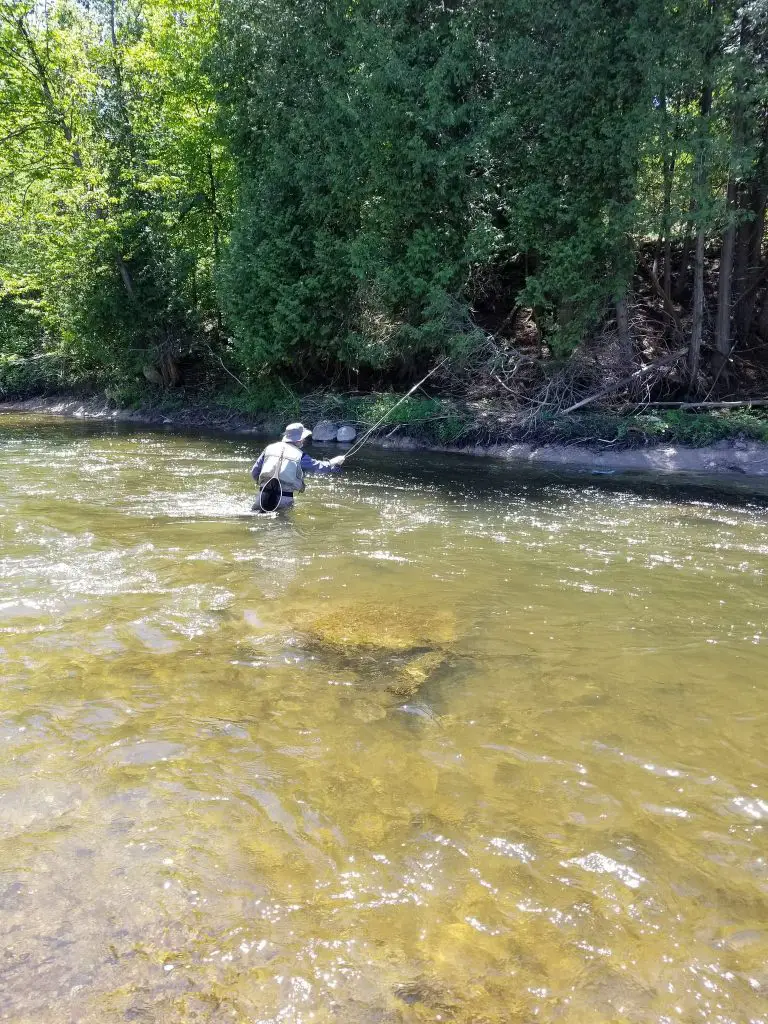 Fishing on 16 mile creek in Oakville