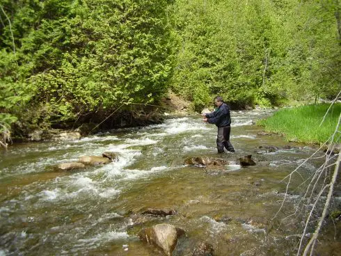 Fishing Oshawa creek