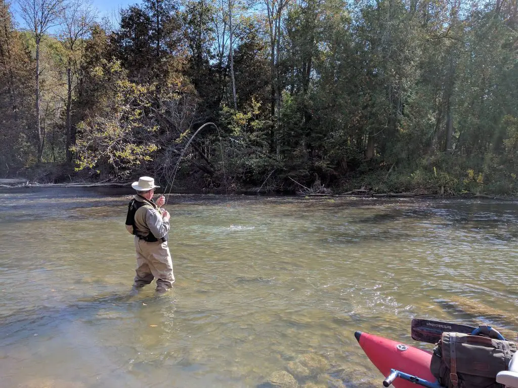 Fly Fishing for Ontario Salmon