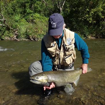 What are the Best Lures for Salmon?