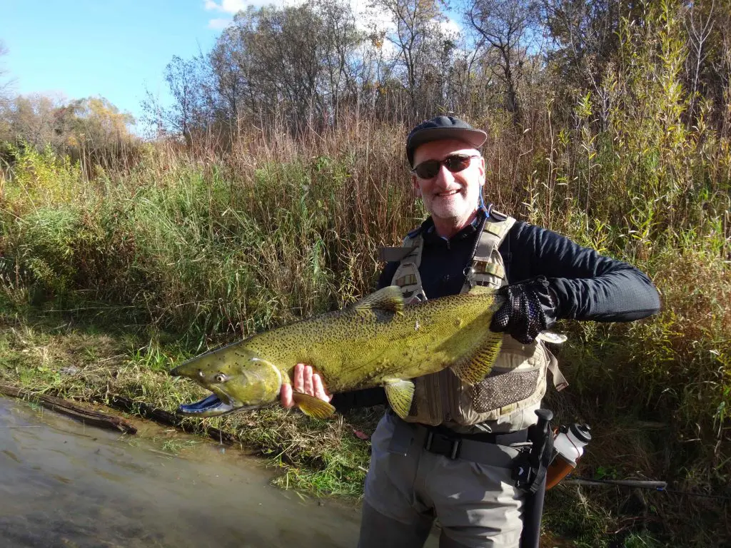 Ontario Salmon Run
