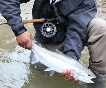 Best Gear For Great Lakes River Salmon In 2020 - Ontario Trout And Steelhead