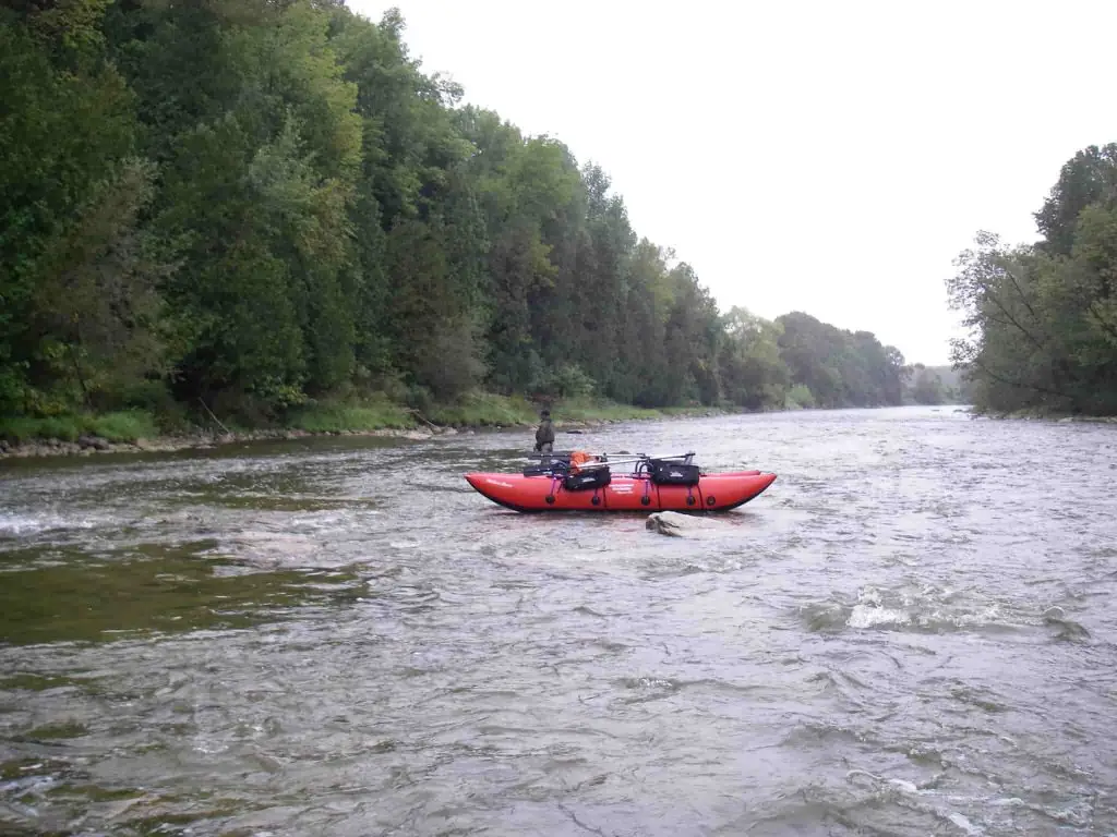 Fishing Salmon on the Saugeen River