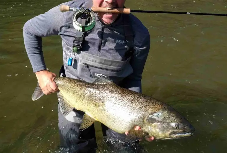 Fly Fishing For Salmon on Great Lakes Rivers