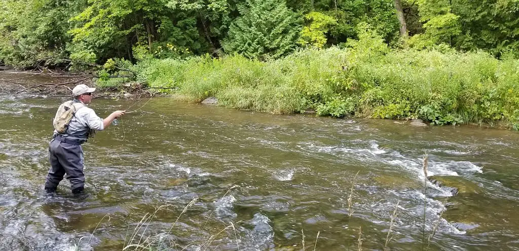 Trout Fishing In Ontario