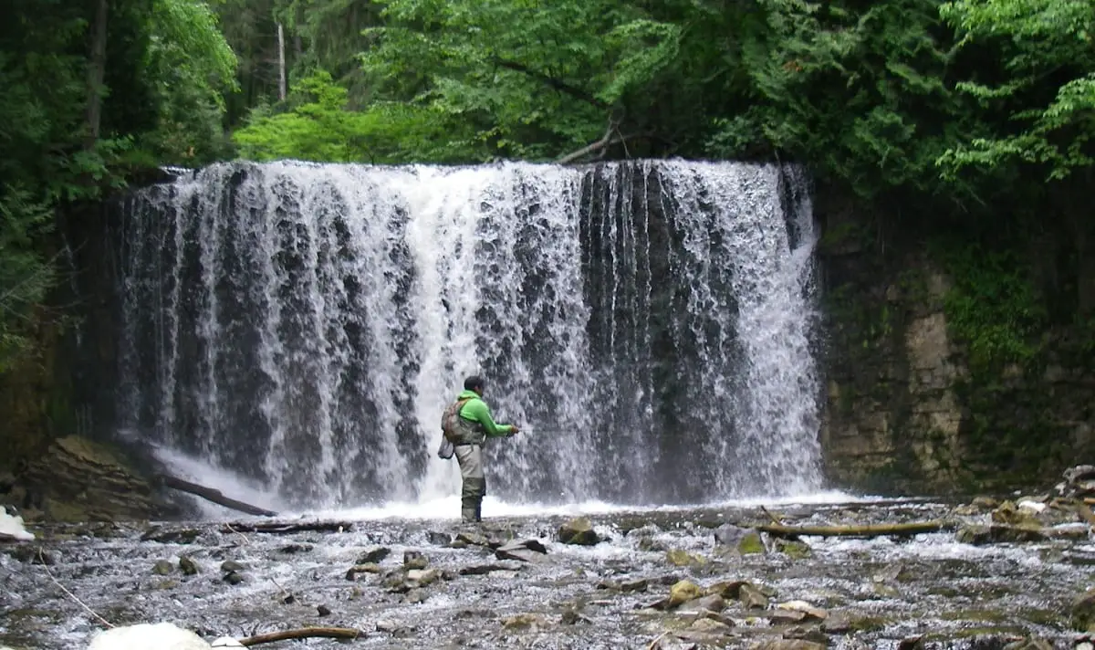 An angler fishing trout and steelhead in ontario