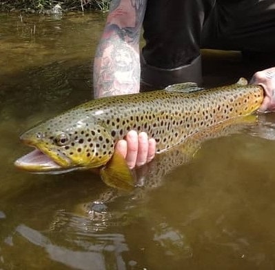 A lucky angler with a huge 24 inch Grand River brown trout