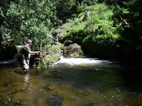 An angler fishing some great brook trout water with A Perfect Drift Guide Company