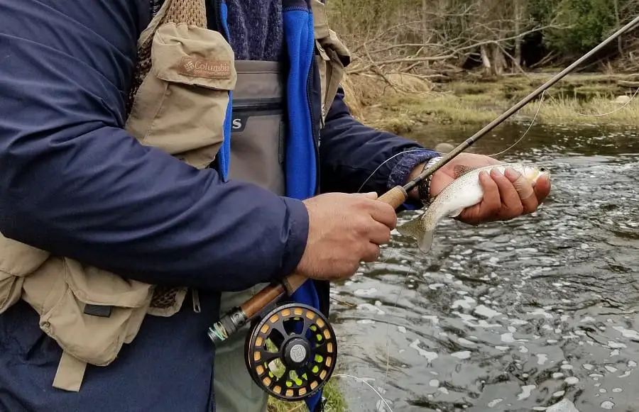 The fly reel is an essential part of fly fishing gear