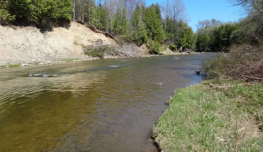 The best steelhead rivers in Ontario