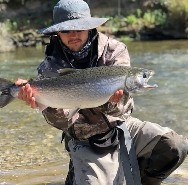 When To Fish For Steelhead In Ontario – Guides Advice