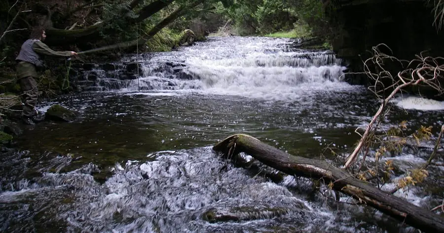Hidden gems like this brook trout creek are everywhere in Ontario