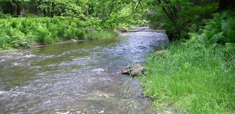 The East Humber River