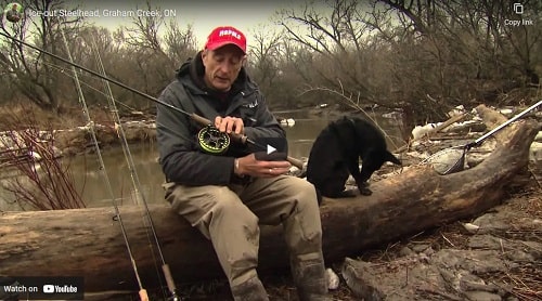 Video of fishing Graham Creek Ontario