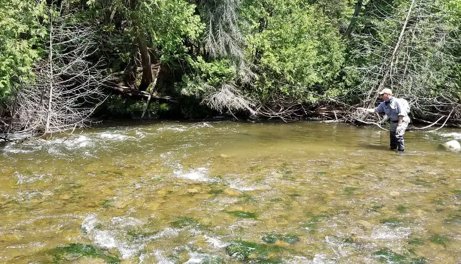 Small trout rivers like Duffins Creek near Toronto are good places to fish.