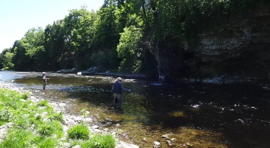 Angler fly fishing and Centerpin fishing on the Grand River