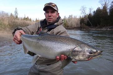 When Do The Salmon Run In Ontario? Advice From A River Guide