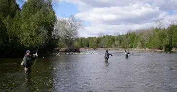 Fishing The Grand River - A Perfect Drift