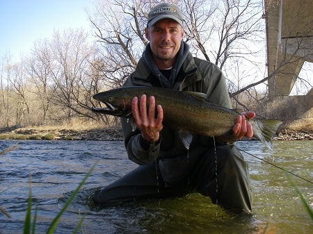 When To Fish For Steelhead In Ontario – Guides Advice