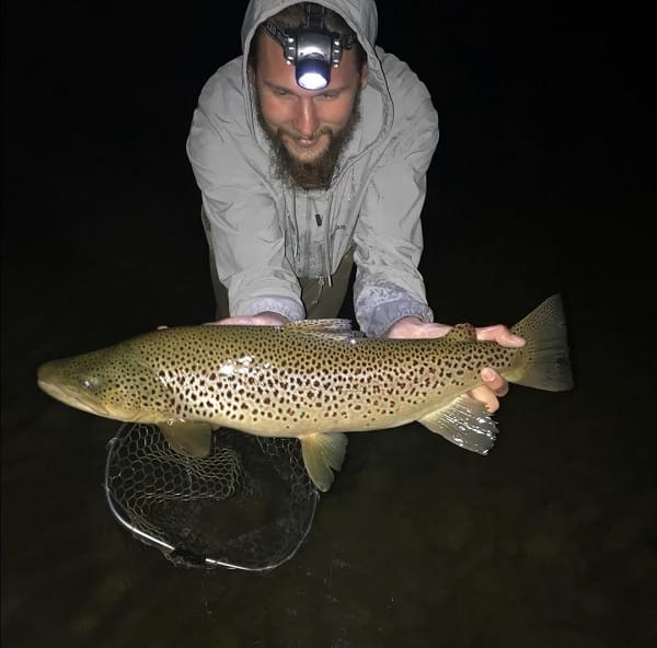 Ontario river guide cody with a beautiful nighttime Brown trout