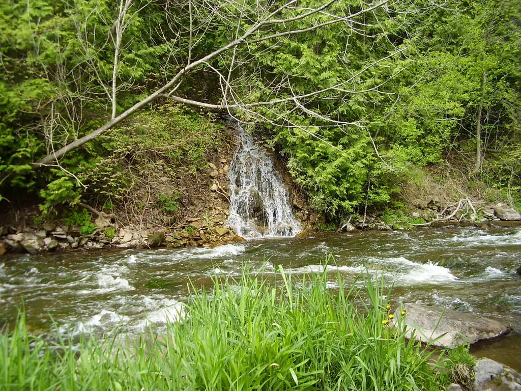 A natural spring entering one of Ontario's best trout and steelhead rivers.