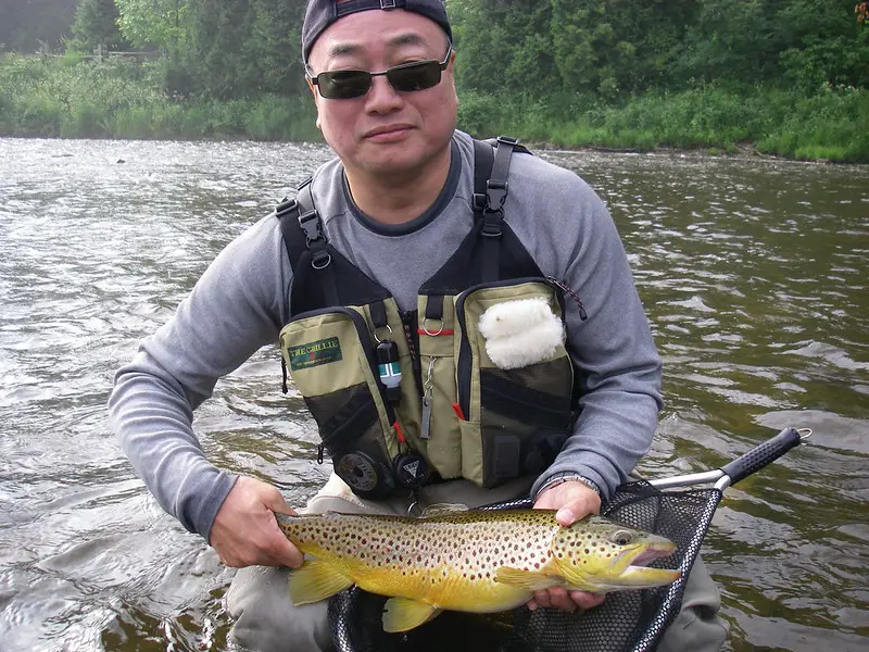 An angler holding a nice 20 inch brow trout