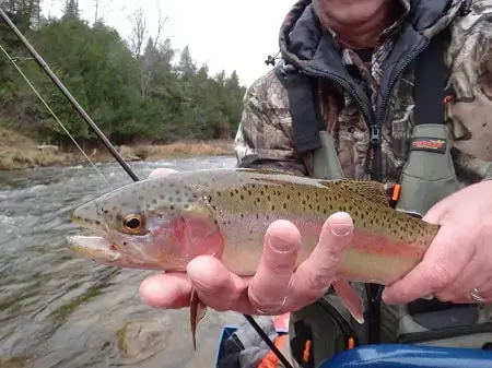 A-Just-a Bubble Rainbow Trout and Steelhead Fishing Technique