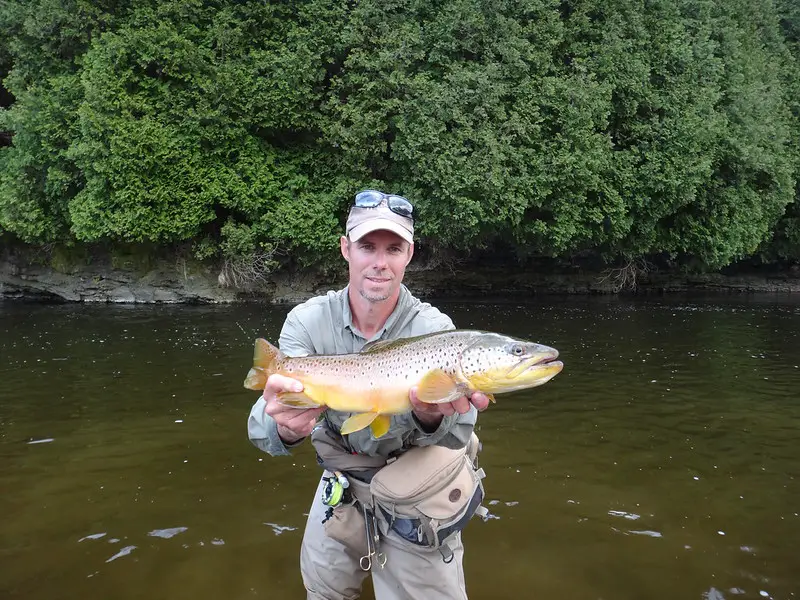 Author Graham with a large resident brown trout caught on a recommended trout bait.
